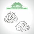 Cream. Hand drawn collection of vector sketch detailed milk products. Isolated