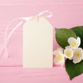 Cream label & jasmine flowers on pastel pink wood table. Royalty Free Stock Photo