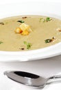 Cream of Mushroom Soup Royalty Free Stock Photo