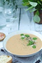 A bowl with mushroom cream soup