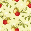 Cream pattern with tomatoe and plant. Royalty Free Stock Photo