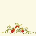 Cream pattern with tomatoe and plant. Royalty Free Stock Photo