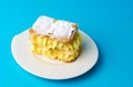 Cream pie slice on a white plate Royalty Free Stock Photo