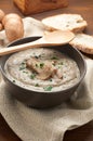 Cream of porcini mushrooms with cream and parsley Royalty Free Stock Photo