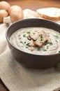 Cream of porcini mushrooms with cream and parsley Royalty Free Stock Photo