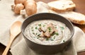 Cream of porcini mushrooms with cream and parsley Royalty Free Stock Photo