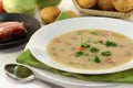 Cream of potato soup