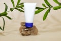 Cream product above podium or stone beauty with ruscus plants. Cosmetic product branding mockup.