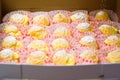 Cream puff cakes Royalty Free Stock Photo