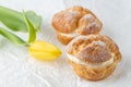 Cream puffs, pastry from choux covered sugar powder and yellow tulip flower on white paper Royalty Free Stock Photo