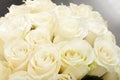 Cream roses