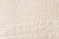 Cream scales macro exotic background, embossed under the skin of a reptile, crocodile. Texture genuine leather close-up