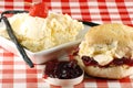 Cream scone Royalty Free Stock Photo