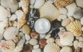 Cream on the seabed summer. Selective focus. Royalty Free Stock Photo
