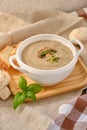 Cream soup with mushrooms champignon in white bowl Royalty Free Stock Photo