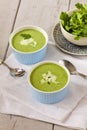 Cream spinach soup Royalty Free Stock Photo