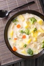 Cream stew is a popular dish consisting of meat chicken and mixed vegetables, onion, carrot, potato and cabbage, cooked in thick Royalty Free Stock Photo