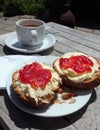 Cream Tea Royalty Free Stock Photo