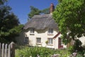 Cream thatched cottage in garden setting