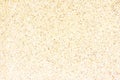 Cream wall sand texture background rough surface