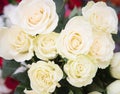 Cream white roses background, closeup. Flowers Royalty Free Stock Photo