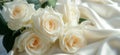 Cream white roses on luxury elegant white silk background with draperies Royalty Free Stock Photo