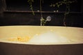 Cream yellow stone bathroom, soap, bubbles, petals Royalty Free Stock Photo