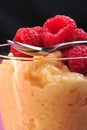 creamed rice pudding with raspberries Royalty Free Stock Photo