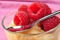 creamed rice pudding with raspberries Royalty Free Stock Photo