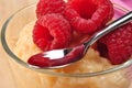creamed rice pudding with raspberries Royalty Free Stock Photo