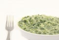 Creamed spinach Royalty Free Stock Photo