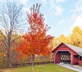 Creamery Covered Bridge and maple tree in Fall