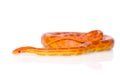Creamsicle Corn Snake (Elaphe guttata guttata). on whit Royalty Free Stock Photo