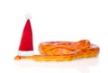 Creamsicle Corn Snake in red christmas hat. on white ba