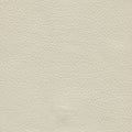 Creamy, beige, light textured leather background for design.