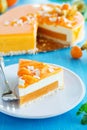 Creamy cake with coconut Royalty Free Stock Photo