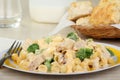 Creamy Chicken and Macaroni