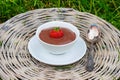 Creamy chocolate pudding on grey wicker tray