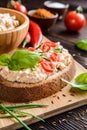 Creamy curd spread with chili, ground cumin, chive and basil Royalty Free Stock Photo