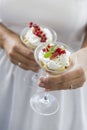 Creamy Dessert Royalty Free Stock Photo