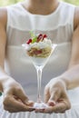 Creamy Dessert Royalty Free Stock Photo