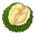 Creamy durian icon, cartoon style
