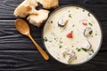 Creamy fish soup with eel, cheese and vegetables close-up in a bowl. horizontal top view Royalty Free Stock Photo