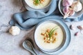 Creamy garlic soup topped with croutons and chives Royalty Free Stock Photo