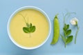 Creamy green pea soup - pea pod, flower, tendril.