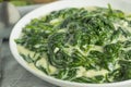 Creamy Homemade Creamed Spinach Royalty Free Stock Photo