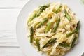 Creamy Lemony Asparagus Pasta fettuccine closeup on the plate. Horizontal top view