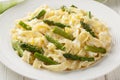 Creamy Lemony Asparagus Pasta fettuccine closeup on the plate. Horizontal