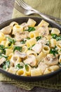Creamy Mezze maniche pasta with chicken, mushrooms and spinach close-up in a plate. Vertical Royalty Free Stock Photo