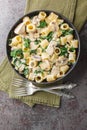 Creamy Mezze maniche pasta with chicken, mushrooms and spinach close-up in a plate. Vertical top view Royalty Free Stock Photo